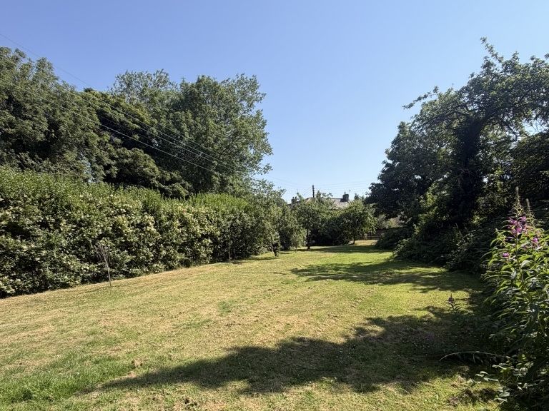 Fruit trees in the orchard